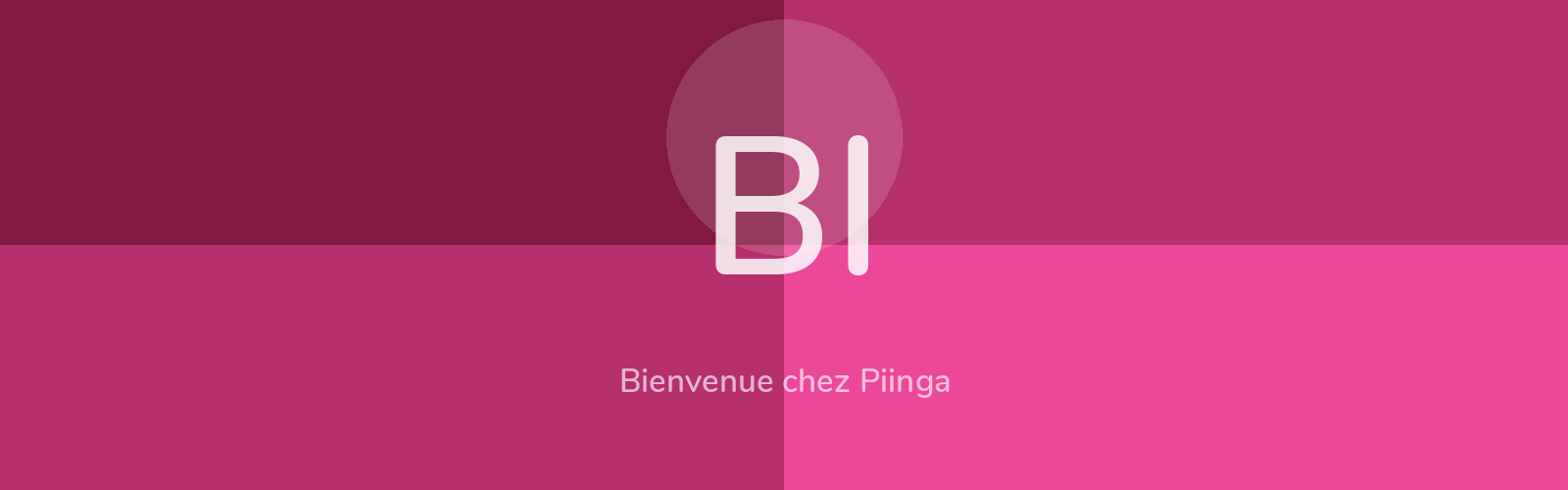 Bienvenue chez Piinga